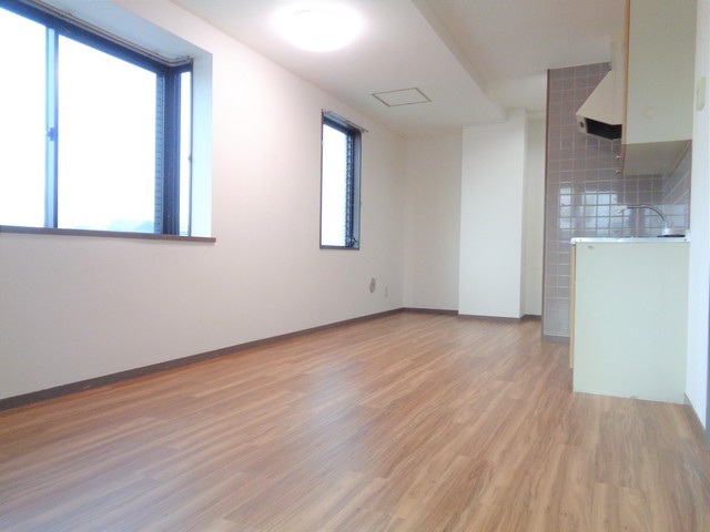 第２石井ビル0306号室 リビング