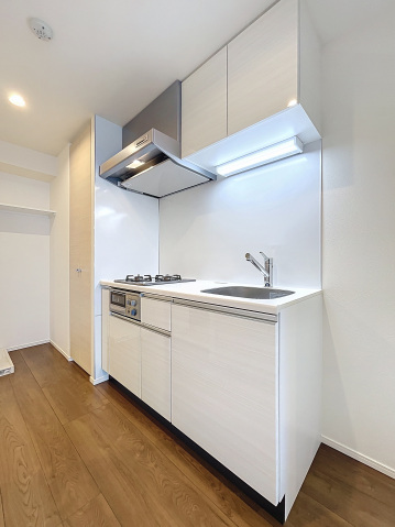 スカイコートパレス新大塚 同タイプ参考写真