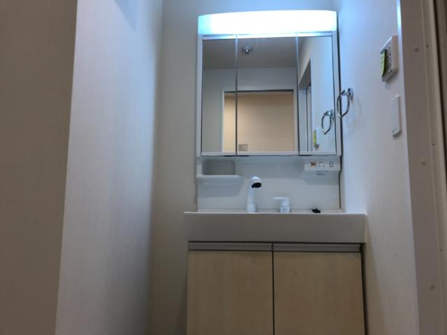 ｇｒｅｅｎ ｍａｉｓｏｎ(グリーンメゾン)105号室 洗髪洗面化粧台