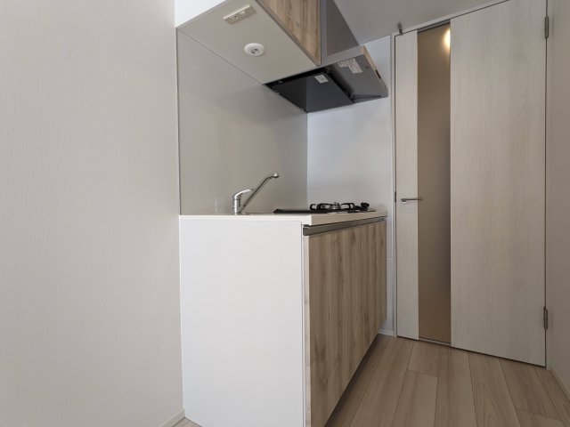 ハーモニーレジデンス蒲田アートヴィラ0102号室 キッチン