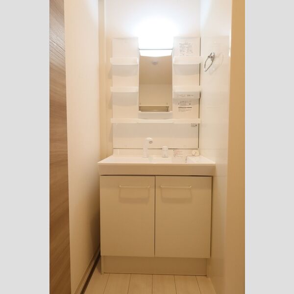 ラ・サカン101号室 洗髪洗面化粧台