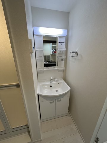 カーサソラーナ0206号室 洗面