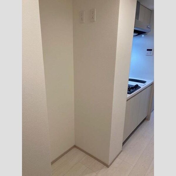 S-RESIDENCE両国緑603号室 洗面