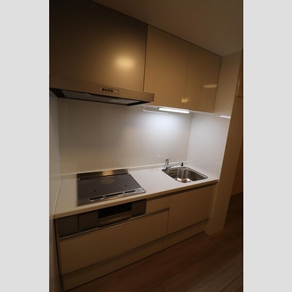 プロスパーⅦ301号室 システムキッチン