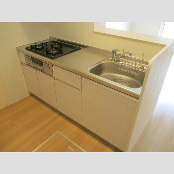 プチクールⅢ・Ⅴ　Ⅲ102号室 システムキッチン