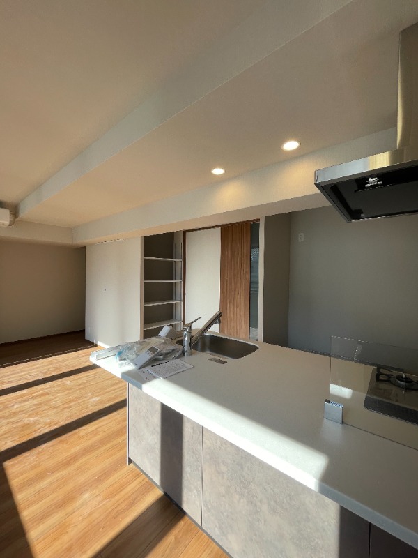  SELENE御殿山3階 キッチン