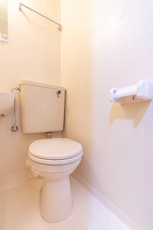 スカイコート川崎3階 トイレ