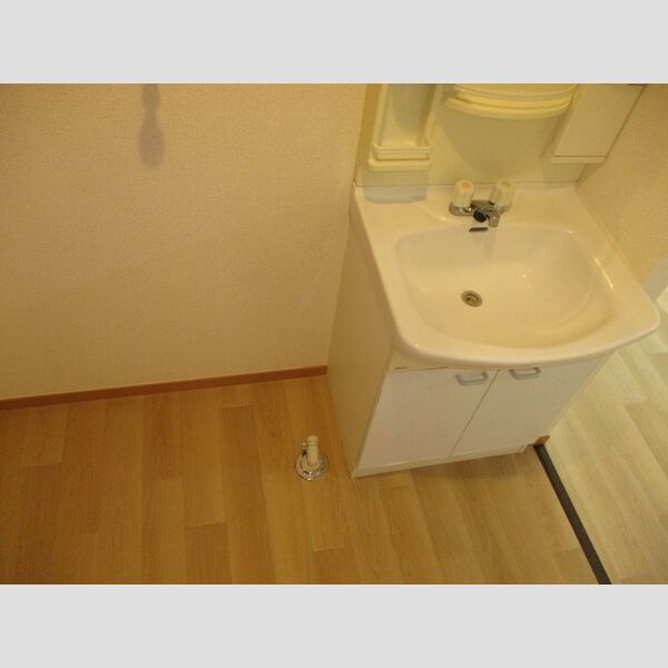 グリーンヒルズ　G棟 洗面台、室内洗濯機置場