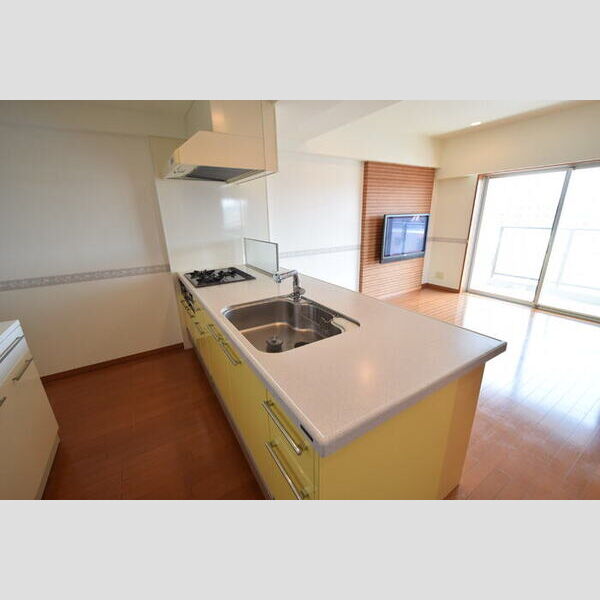 ロイヤルパークス西新井0509号室 キッチン