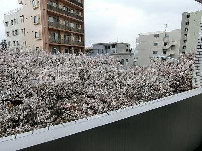 パークサイド中野4階 部屋その他