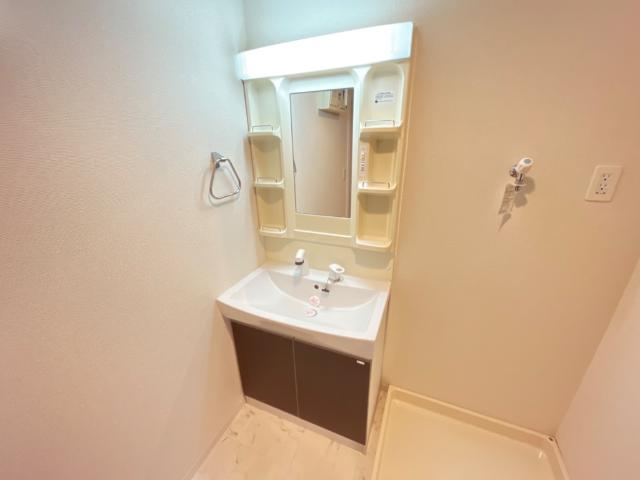 ロイヤルパレスＳ 洗髪洗面化粧台