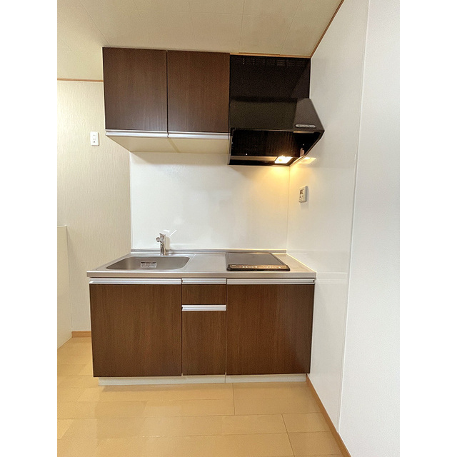 バーンハイツ平井101号室 2口IHヒーター付きキッチン