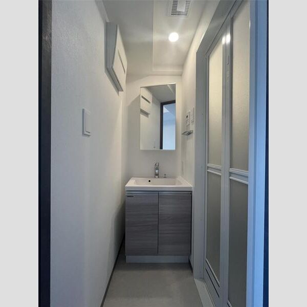 Alivis五反野1004号室 洗面