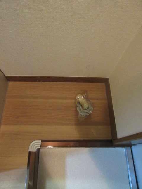 ライフピアエミリア 洗面所