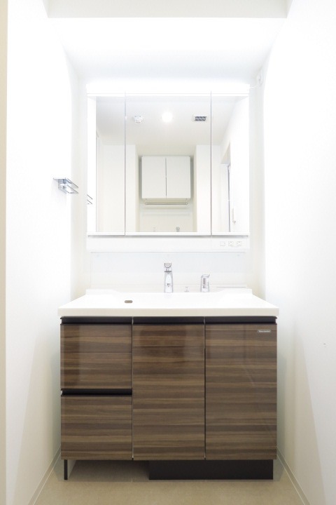 ロイジェント志村坂上7階 洗面