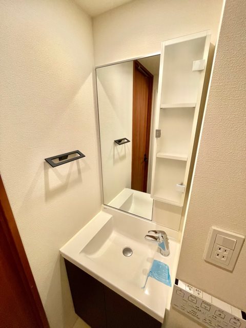 レジディア蒲田Ⅴ8階 洗面