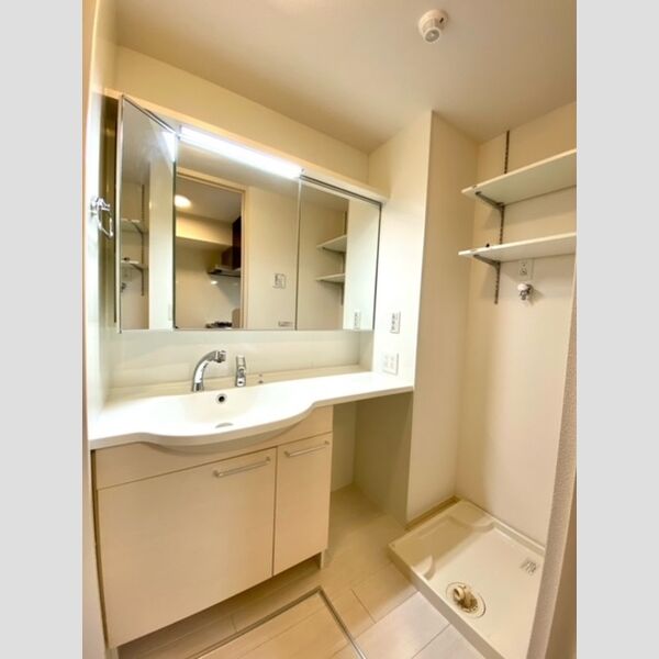 桜DKハイム103号室 洗面所