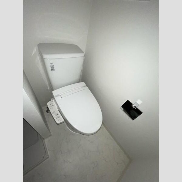 MAXIV百合ヶ丘TRE208号室 玄関