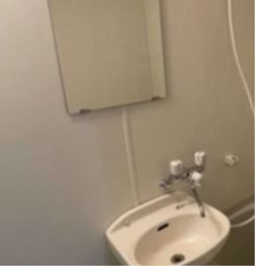 ライズ西篠崎1階 洗面