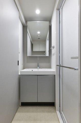 プラウドフラット墨田曳舟ディアージュ407号室 洗面
