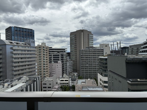 Ｂｒｉｌｌｉａ二番町16階 部屋その他