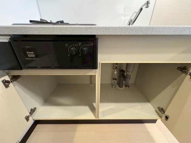 ブレシア銀座イースト602号室 収納