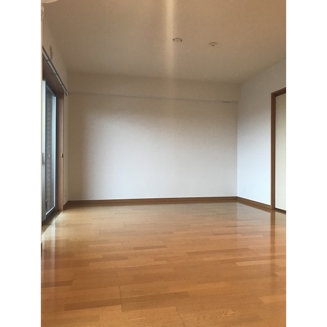 グランデュール千鳥0704号室 リビング