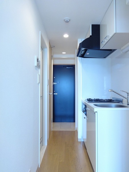 ル・リオン多摩川ＧＲＡＮＤ-ＣＯＵＲＴ306号室 部屋その他