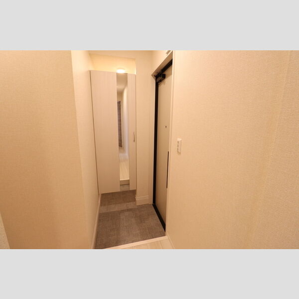 Le Ginkgo102号室 玄関