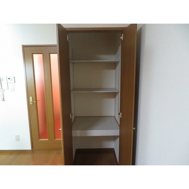 ＹＡＹＯＩ　ＣＯＵＲＴ0901号室 LDK収納