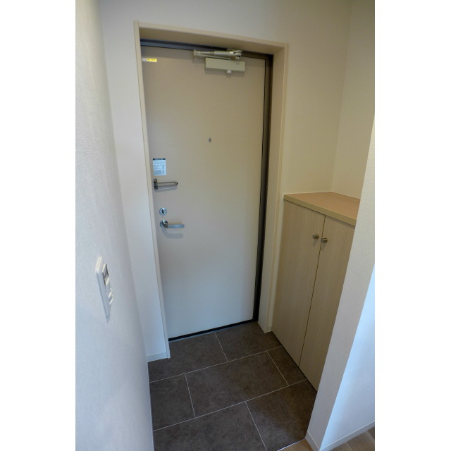 エルスタンザ平井0201号室 玄関