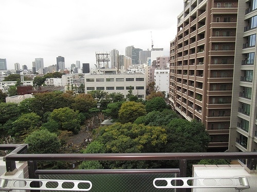 朝日白金台マンション8階 眺望（バルコニーからの眺望）　※2024年10月撮影