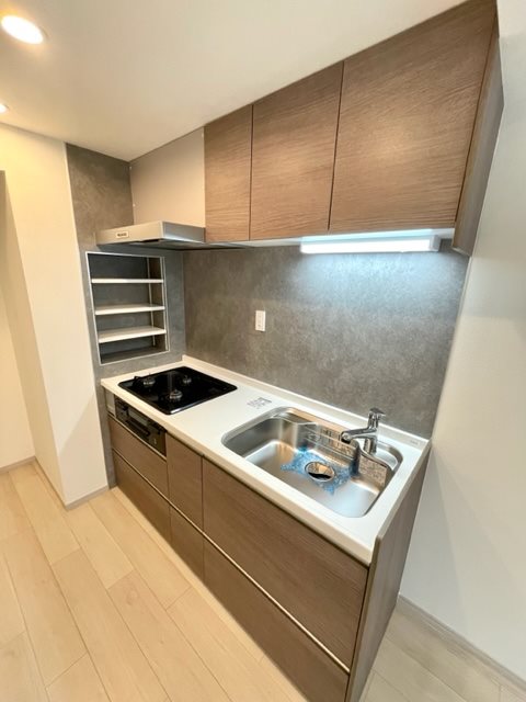 レジディア世田谷若林3階 キッチン