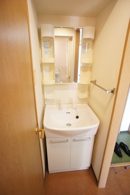 エクセルグランデ高洲0605号室 使いやすい洗面所です