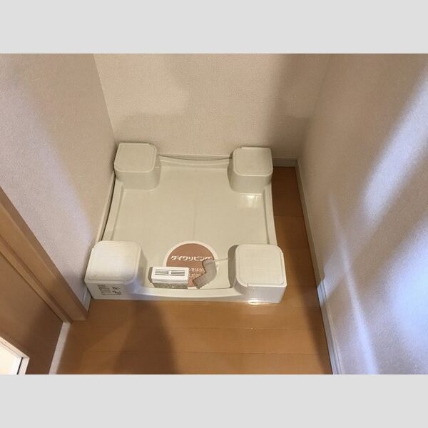 ステラ　トーレ(Stella　torre)203号室 室内洗濯機置き場