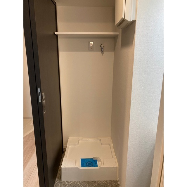 ルネサンスコート中野0203号室 室内洗濯機置場