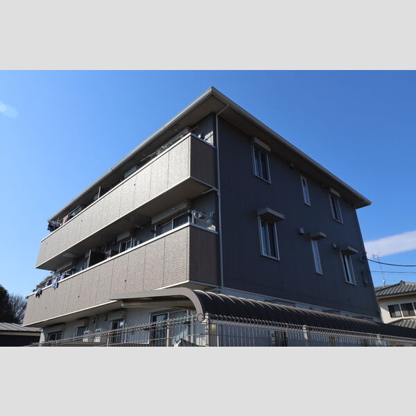 シェーン・アネーロの外観画像