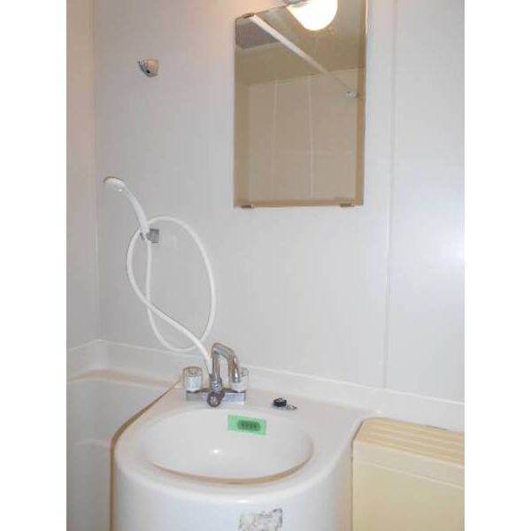 エステートならしの0101号室 洗面