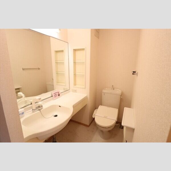 メゾン・ヴェール205号室 洗髪洗面化粧台