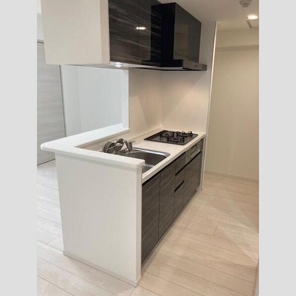 S-RESIDENCE菊川rivie501号室 玄関