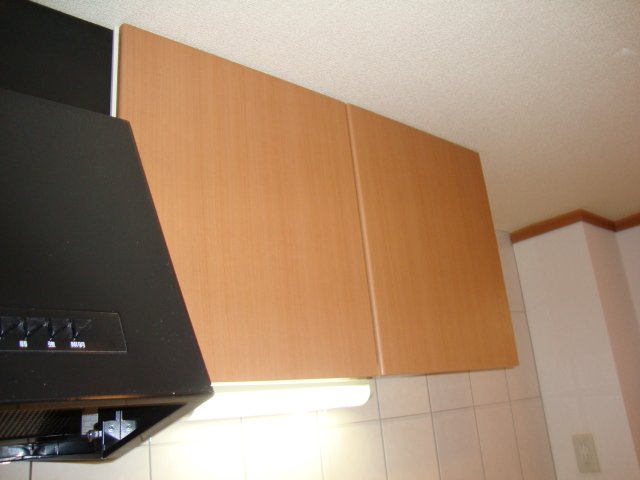 エバーシャインＳＯＧＡ201号室 キッチン吊り戸棚