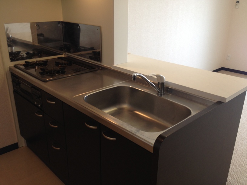 レオネクストタウンコートⅡ215号室 部屋その他