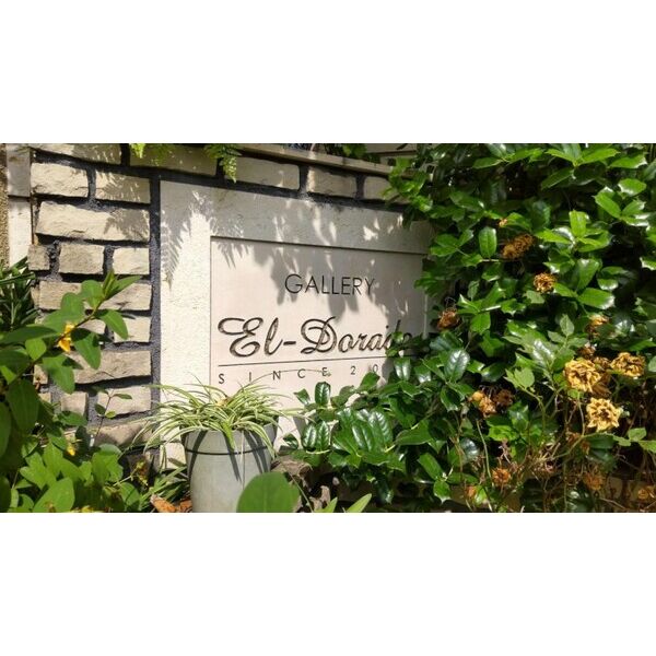 GALLERY　El-dorado206号室 部屋その他