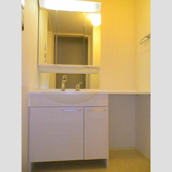 セジュール玉川202号室 洗面