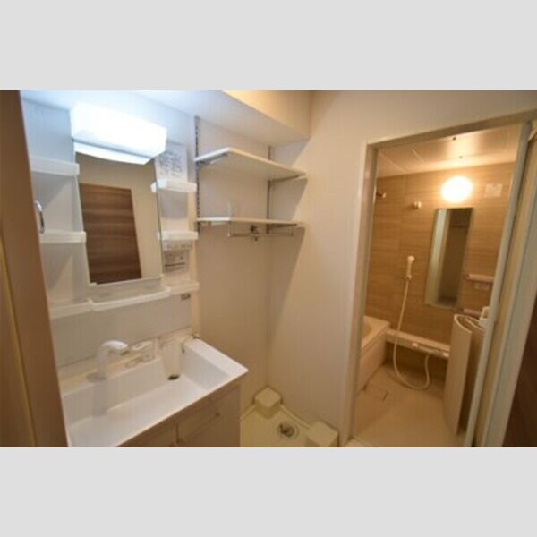 D-room浜町 洗面室