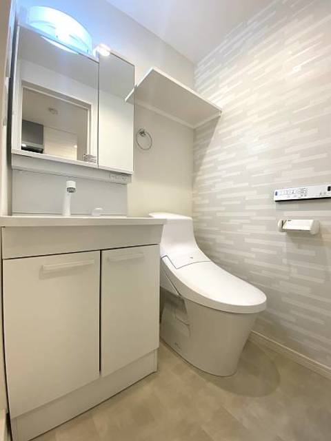 アザーレ・キュリオス柿生 洗面