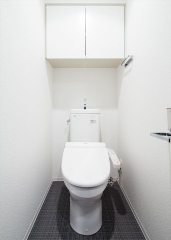 DIPS小竹向原502号室 トイレ