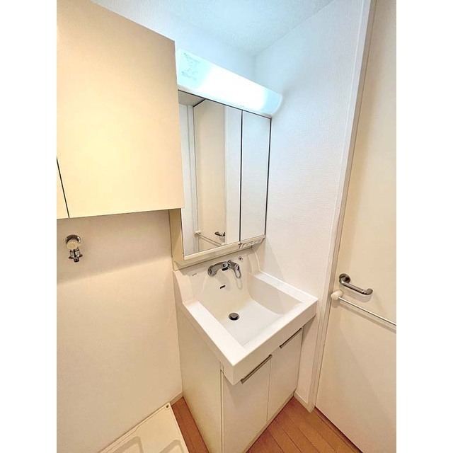 アンリシェール橋本Ａ204号室 洗髪洗面化粧台