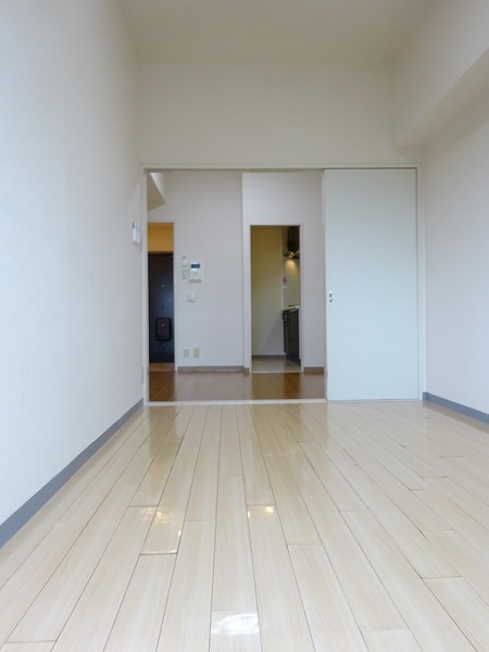 ワコーレ川崎Ⅱ901号室 リビング