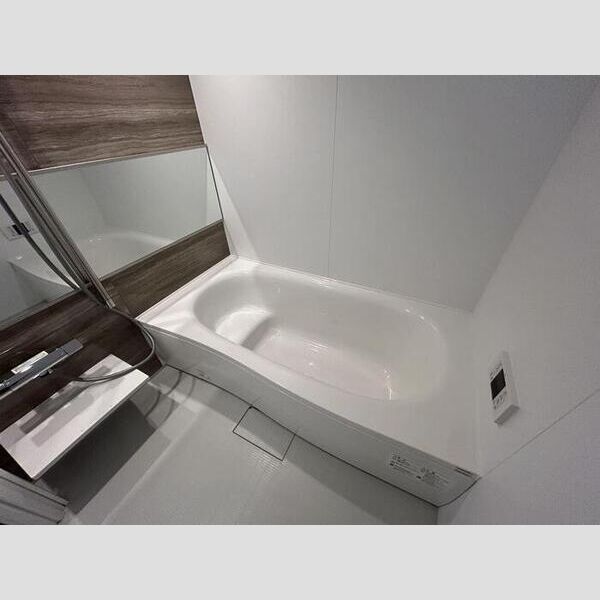 セレスティア西綾瀬202号室 浴室